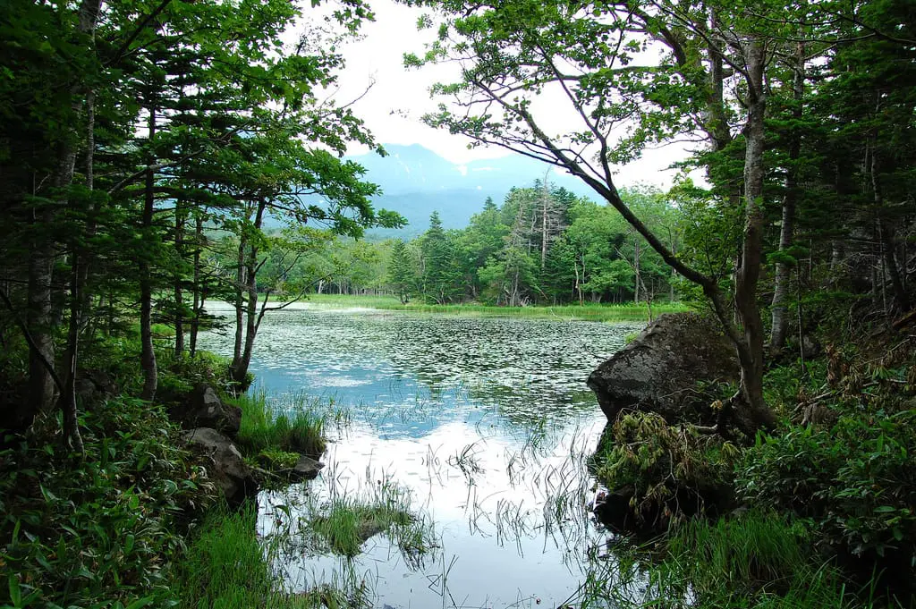 3742660485_3544b3511d_b