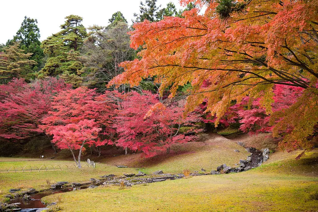 4085140677_eebb9be446_b