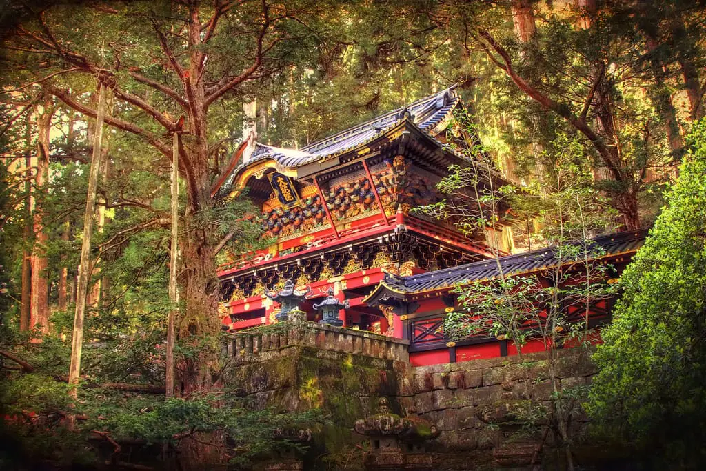 4574032973_87b5c3f901_b