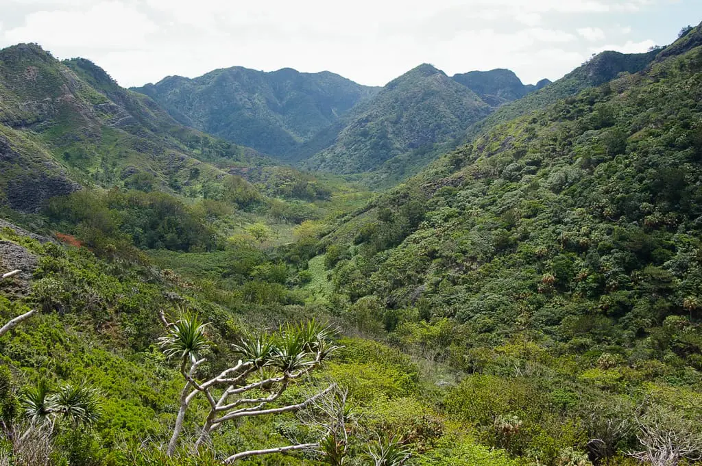 483311460_7f911be06b_b