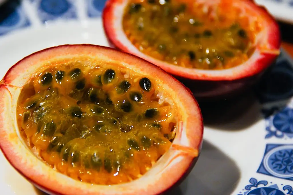 483344399_7f24d0818d_b