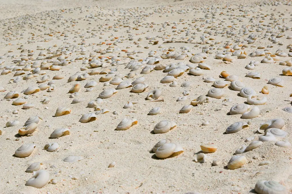 483345027_b798e01e65_b