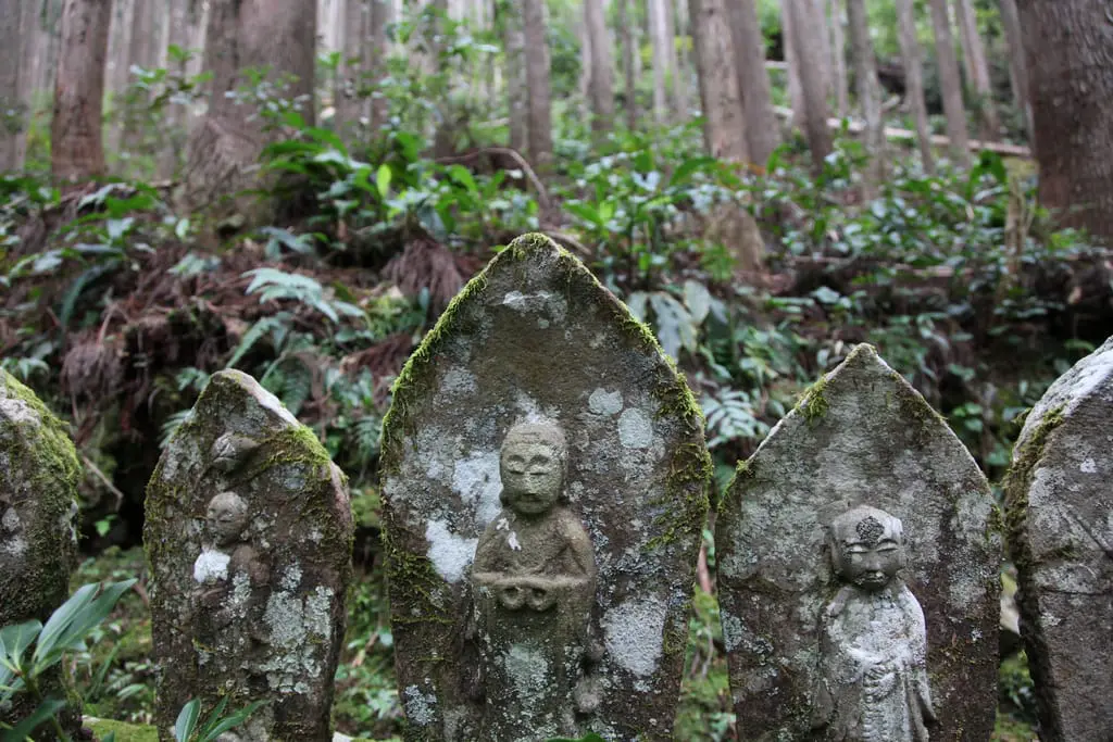 6268137094_6877fd7757_b