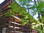 Ishiyama-dera18_mini