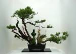 ikebana_20160914_4
