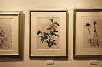 ginza_gallery_20150924c