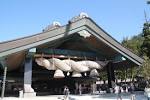 shrine_matome_20151127a