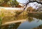 th_himeji_castle_secret_20151202g
