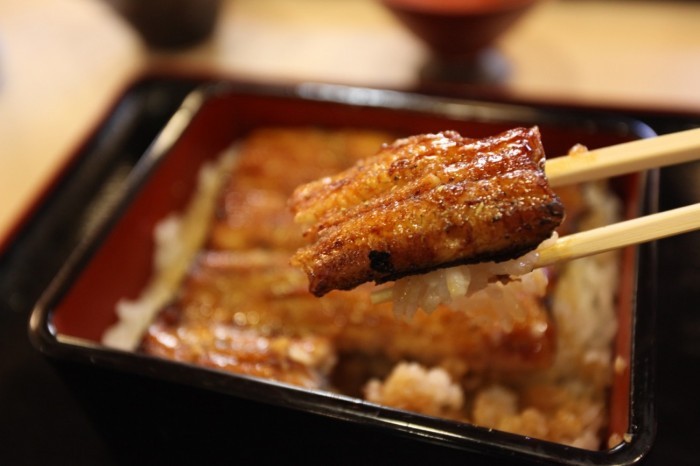 Saitama_urawa_eel-700x466