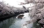 okazaki07