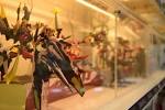tour_akihabara_bersama_maido-18