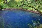 49a6d602389e654109369f259fe79471-700x466