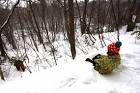 IMG_0059-700x466