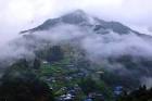 Toushima_must-see-spot_2-700x465
