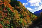 Toushima_must-see-spot_4-700x465