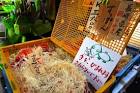 Tsukiji-fish-market_jonai_4-700x466