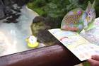 disneyeaster_5_20160324_b-700x466