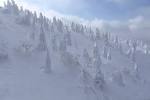 hakkoudasan_20160216_h