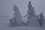 hakkoudasan_20160216_i