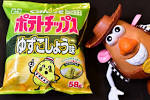 photochip2
