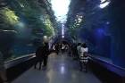 EPSON-Aquapark-Shinagawa_4-700x466