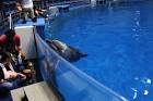 EPSON-Shinagawa-aqua-park_2-700x467