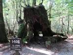 Shiratani_Unsuikyo_13