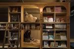 bookandbedtokyo05