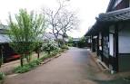 nokonoshima0430g