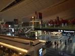 asakusa_ikikata_05