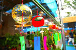 th_DSC00695-1024x680