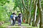 sumber: Biro Pariwisata Okutama
