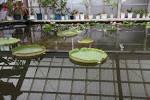 beppuoita-20160914_umijigoku_20160512g