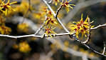 th_pasted-image-small-6
