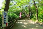 DSCF1310-001
