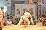 sumo_20150929