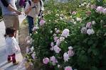 th_IMGP7596