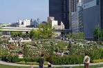 th_IMGP7654
