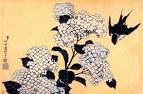 800px-Hydrangea_and_Swallow_2