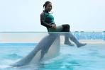 Performance by the trainer and the killer whales