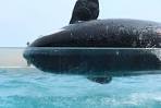 The moment of the landing in the water