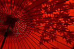 th_DSC_2244