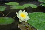 new_DSC_9410