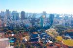 東京タワーからの眺める増上寺