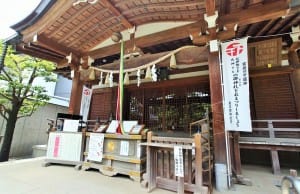 th_IMG_8973