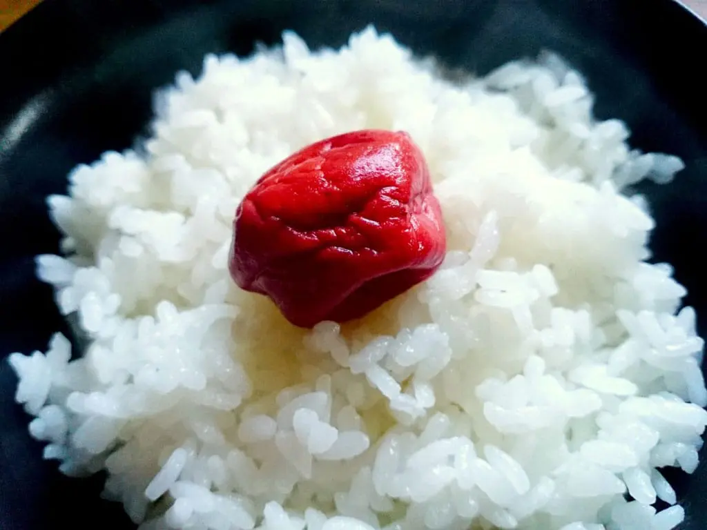 梅干しとご飯