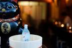 matcha-jo-sake-bar-5334