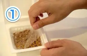 フィルムをはがします