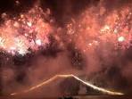 花火 芝桜と富士山