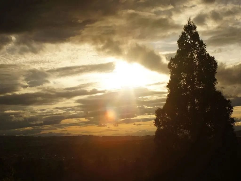 前往东大寺二月堂，独占奈良绝景！